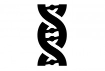 About Us Section is the DNA of the page 