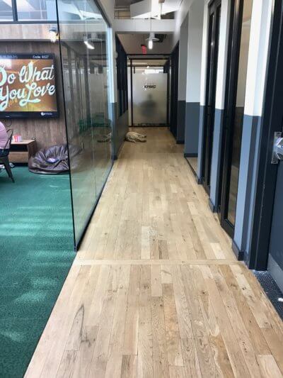 Velocity NYC