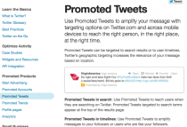 Native Advertising promoted tweets